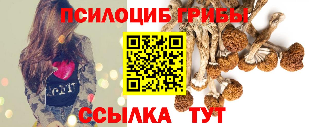 Галлюциногенные грибы MAGIC MUSHROOMS Нововоронеж